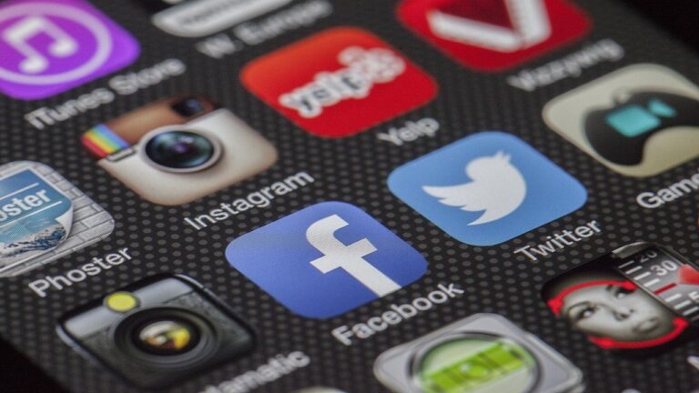 Maximizing Your Brand’s Reach: Harnessing Social Media Marketing Services with DigitalDuniya.co